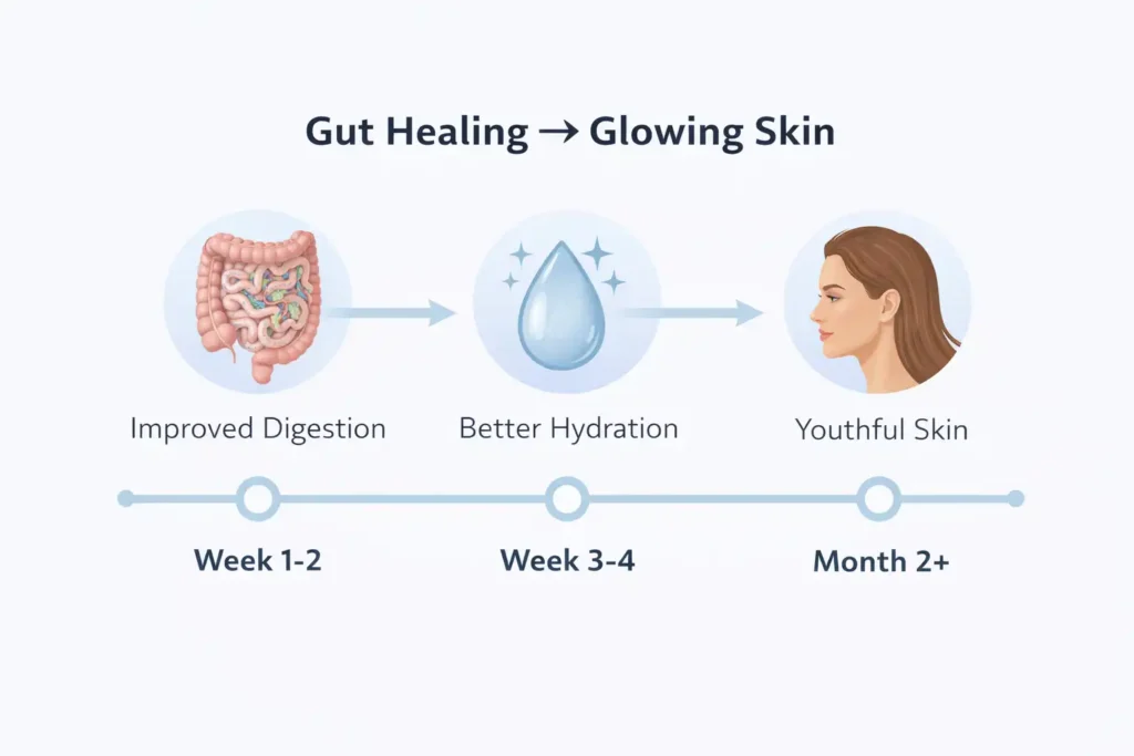 Timeline showing gut healing improving Skin-Gut Cell Turnover from better digestion to glowing youthful skin over weeks